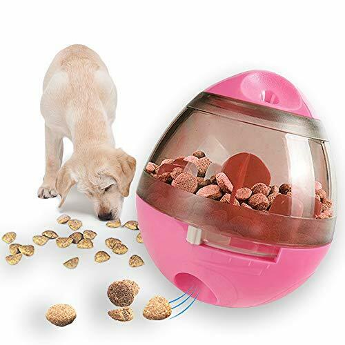 Distributeur interactif intelligent de nourriture pour animaux de compagnie